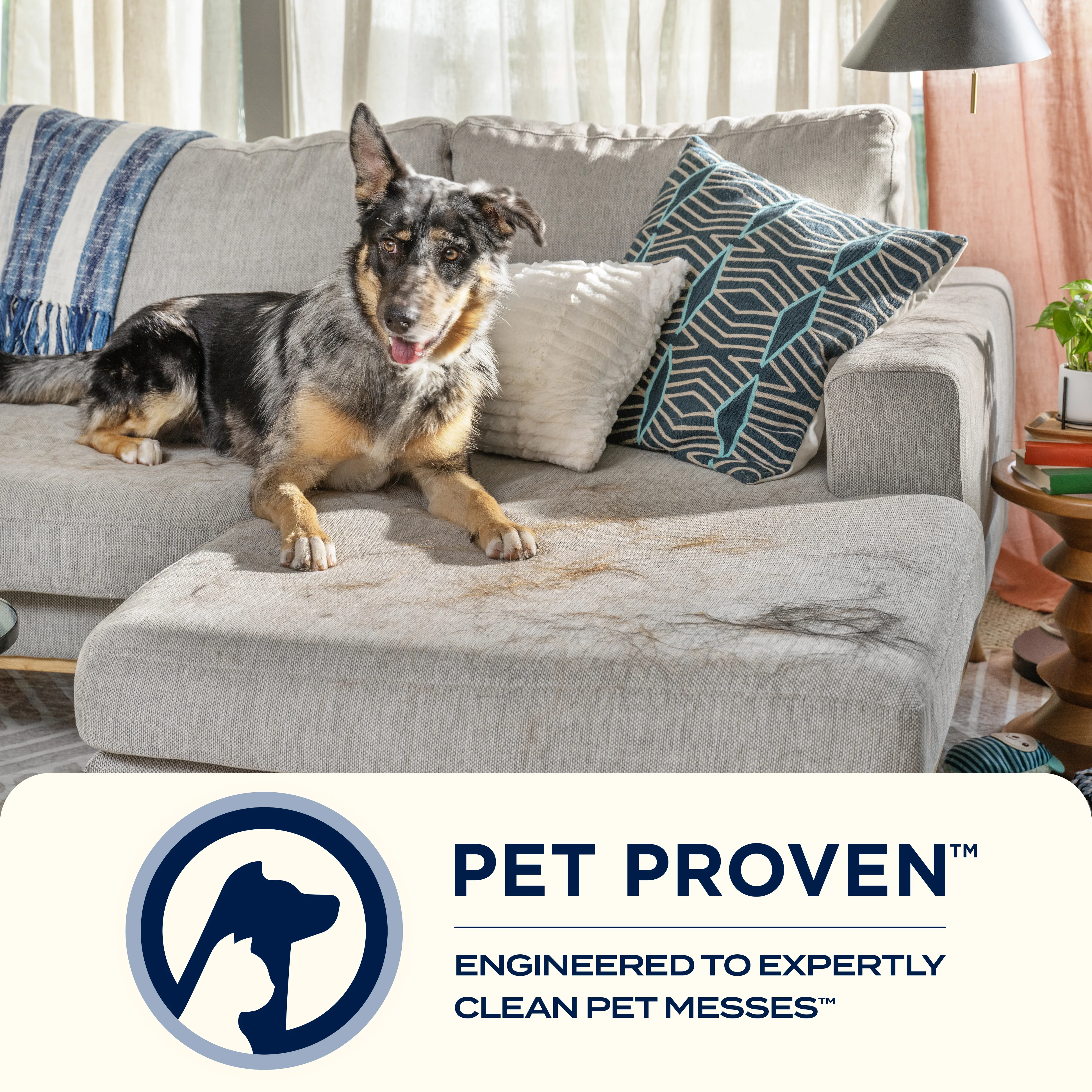 ICON Pet Turbo - Image 9